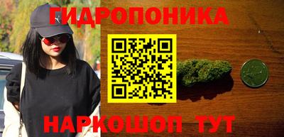 шишки Бузулук