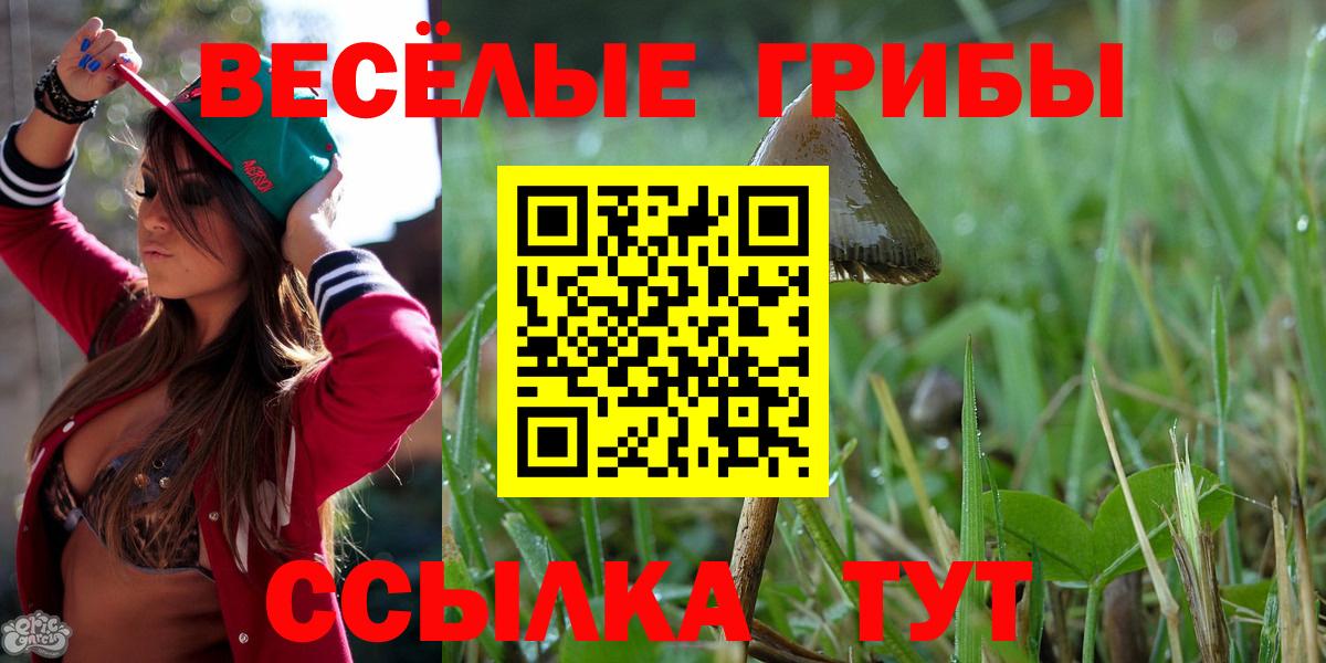 Псилоцибиновые грибы Psilocybine cubensis Сафоново